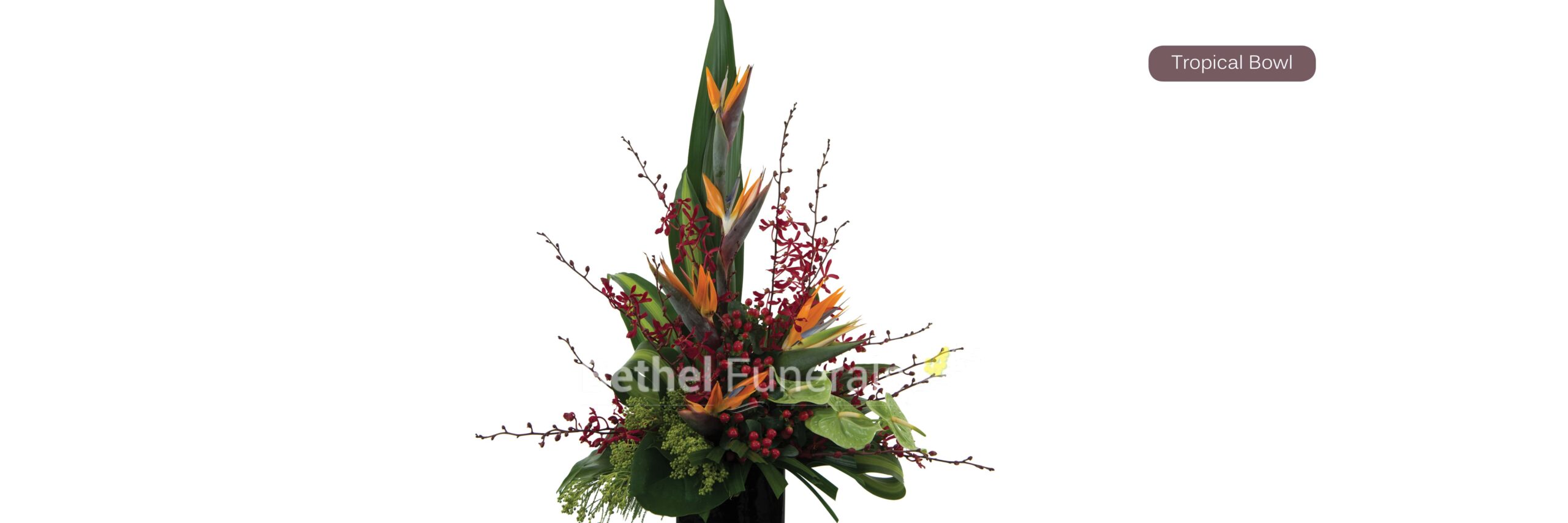 Tropical-Bowl-Bethel-Funeral-Website-Images28-min